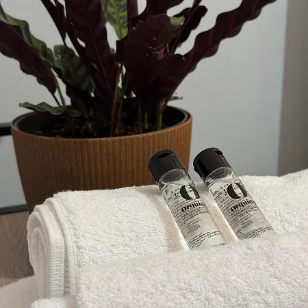 Refugio Do Nevoeiro T1