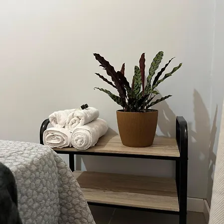 Refugio Do Nevoeiro T1 *