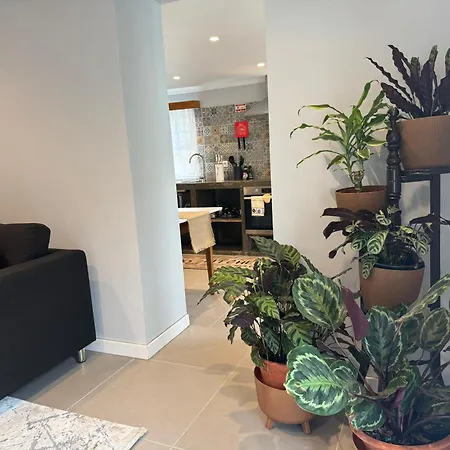 Σπίτι διακοπών Refugio Do Nevoeiro T1 *