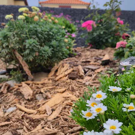 Refugio Do Nevoeiro T1 Дом отдыха *