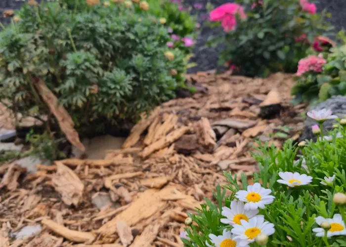 Refugio Do Nevoeiro T1 Semesterbostad *