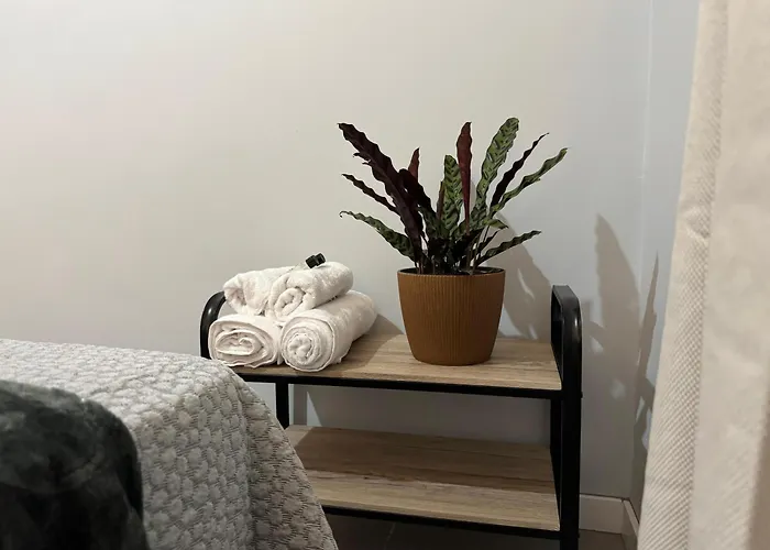 Refugio Do Nevoeiro T1 *