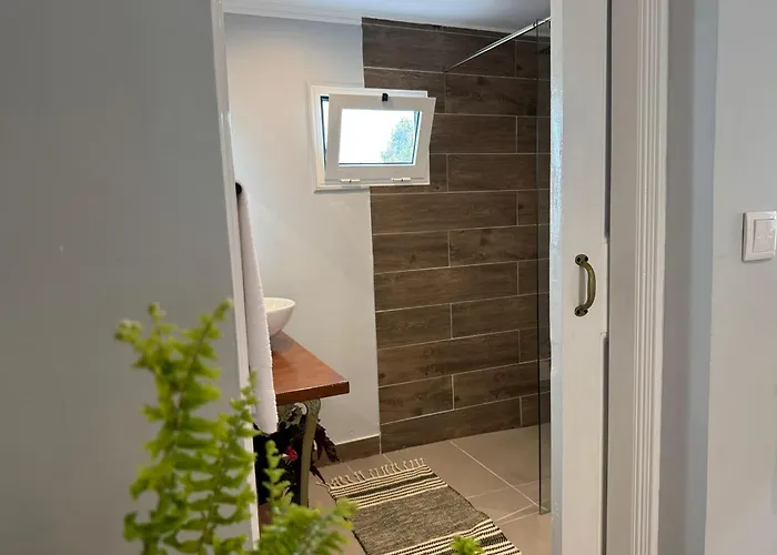 Refugio Do Nevoeiro T1